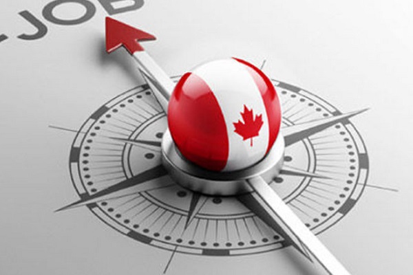 اقامت کانادا با جاب آفر؛ یافتن کار در تورنتو